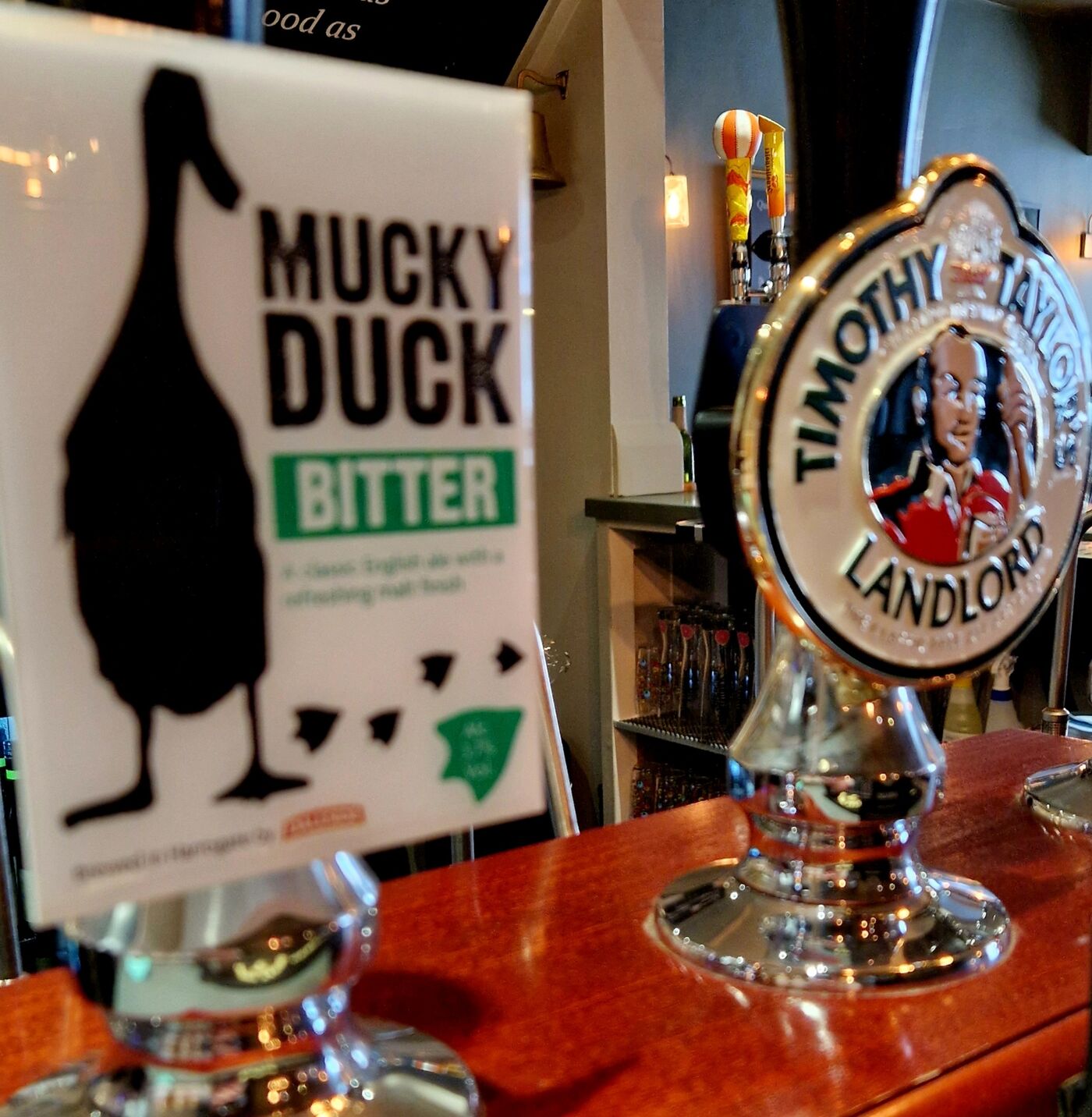 Beer pumps lined up on the bar